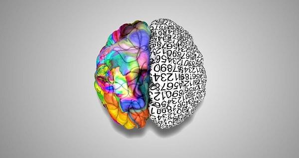 Buna karşıt olarak bazı diğer araştırmacılar ise, zeka seviyesinin daha da arttırılmasının mümkün olduğunu savundular. Öğrendiğimiz ve edindiğimiz bazı alışkanlıklar, beyindeki nöronları harekete geçirmesiyle zekanın gelişimine katkısı bulunmaktadır. Peki bu alışkanlıklar nelerdir?👇