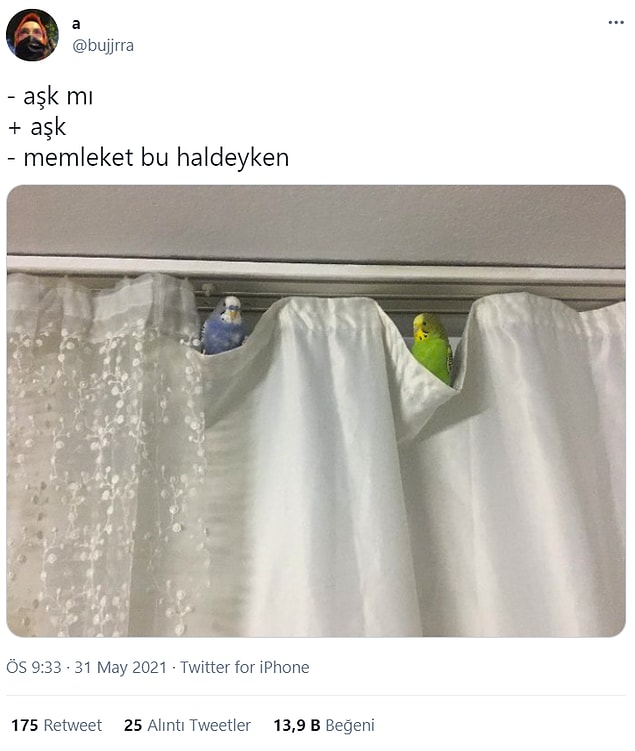 8. Gizli bir görüşme yapıyorlar sanki.