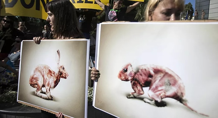 Израиль стал первой страной, запретившей использование меха в модной индустрии