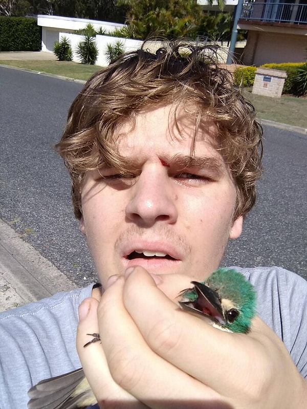 13. Эта птичка влетела мне в лицо