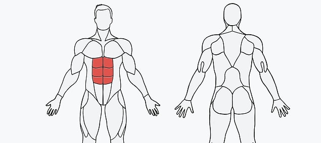 12. MuscleWiki
