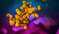 Dünya Üzerindeki Kovid-19 Virüslerinin Toplam Ağırlığı Hesaplandı