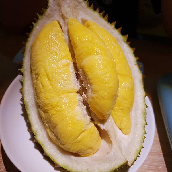19. "Berbat kokan Durian isimli meyveleri... Ayrıca adını hiç duymadığım binbir çeşit meyve türüyle Endonezya'da karşılaştım."