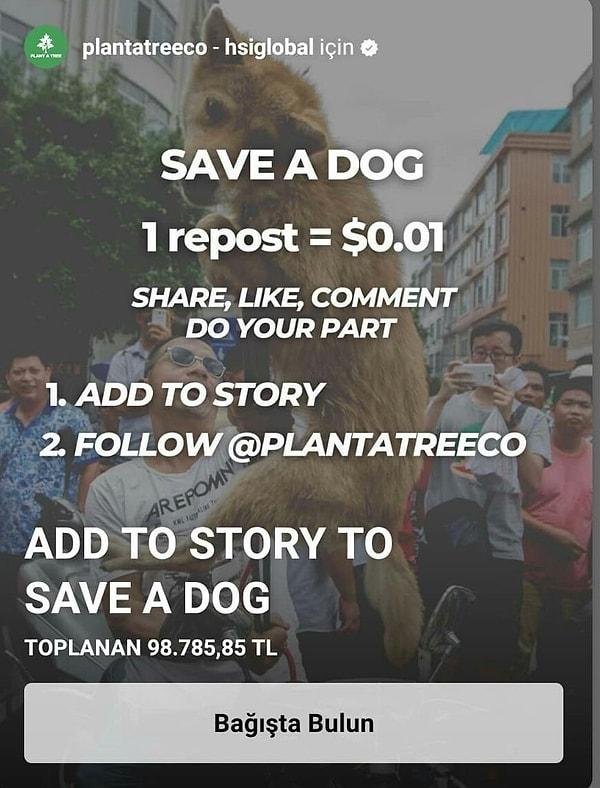 Eğer Instagram'ı aktif olarak kullanıyorsanız bu paylaşımı bugün mutlaka görmüşsünüzdür, hatta belki siz de paylaşmışsınızdır. İddia şu: Bu hikayeyi kendi hesabınızda paylaşınca ve ilgili hesabı takip edince bir sokak köpeğine 0.01 USD karşılığı bağışta bulunmuş oluyorsunuz.