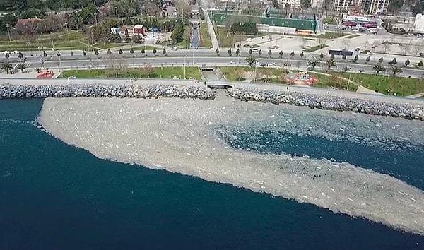 Son dönemde Marmara'da ortaya çıkan deniz salyası, görenleri korkutmaya devam ediyor bildiğiniz üzere.