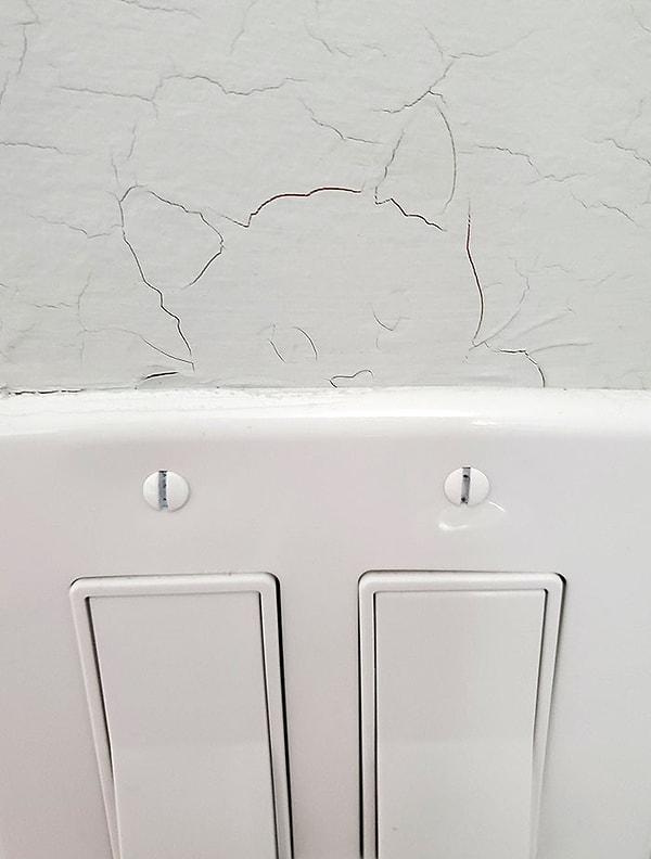 13. Образ кошки образовался из-за трещин над выключателем света