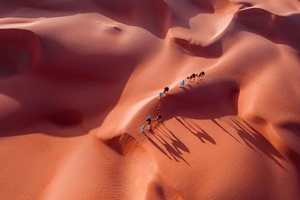 10. Путешествие на верблюдах