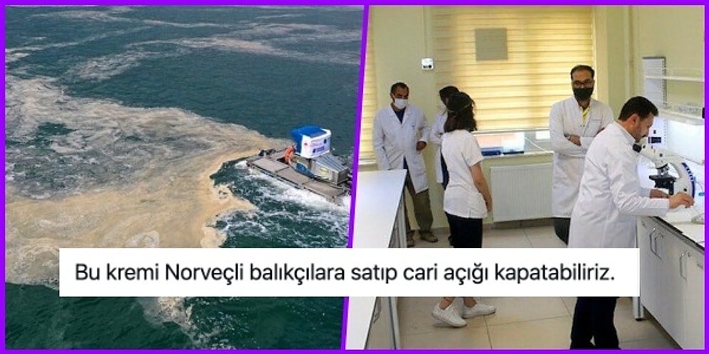 Binali Yıldırım Üniversitesi'ndeki Çalışma ile Müsilajdan Jel ve Krem Yapılacağı Haberi Tepkilere Yol Açtı