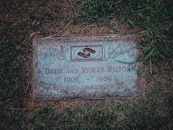 Daisy, Violet'ten Birkaç Gün Önce Vefat etti