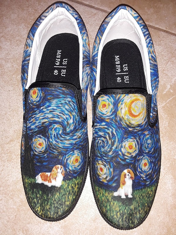 13. Обувь с песиком на фоне звездной ночи