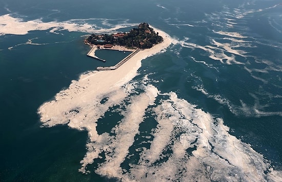 Bakan Kurum Müsilajdaki Son Durumu Açıkladı