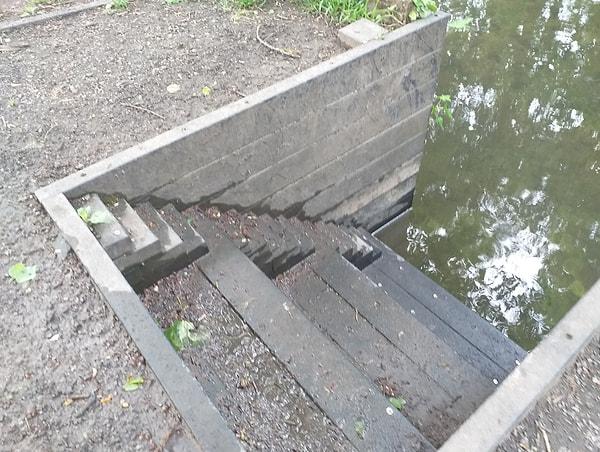 12. "Semtimizdeki kanalda ördeklerin daha kolay girip çıkması için küçük merdivenler var."