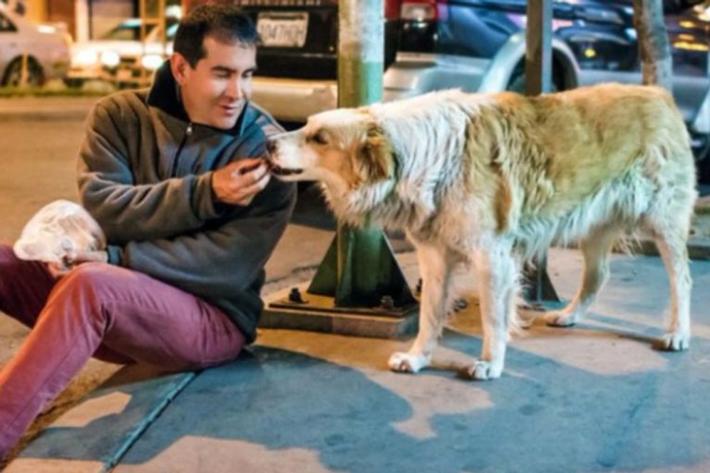 Mühendislik Kariyerini Bırakıp Hayatını Sokak Köpeklerine Adayan 'Koruyucu Melek' Hayatını Kaybetti