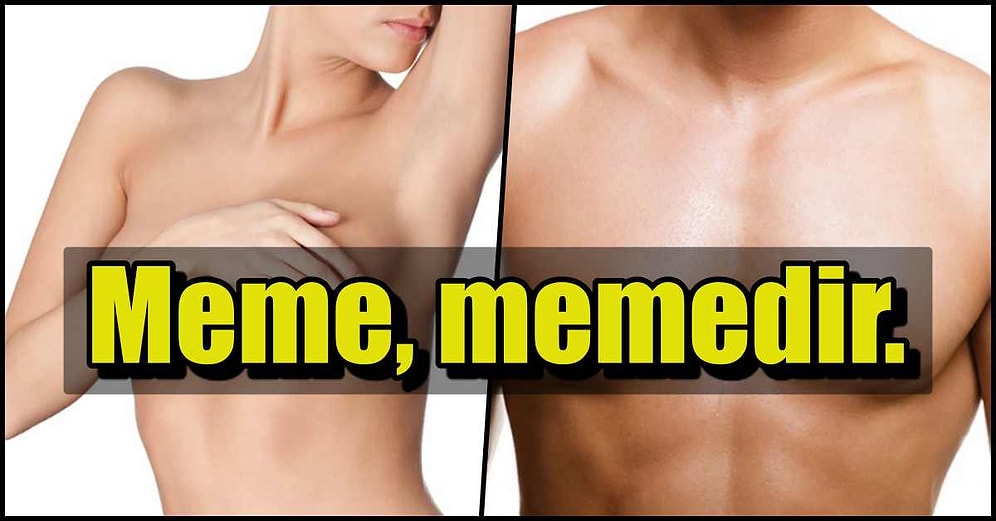 Meme mi, Göğüs mü; Aslında Hangisini Beğeniyorsunuz?