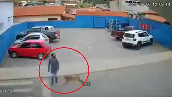 Yolun Karşısına Geçmek İsterken Yolda Koşan Köpeğin Çarpması ile Soluğu Yerde Alan Adamın İlginç Anları