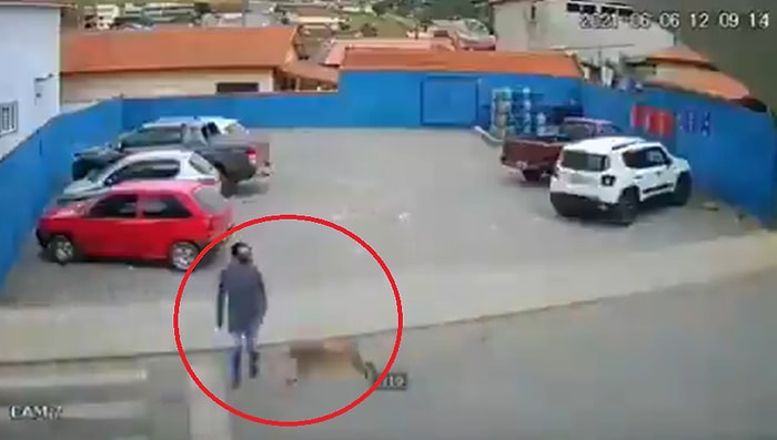 Yolun Karşısına Geçmek İsterken Yolda Koşan Köpeğin Çarpması ile Soluğu Yerde Alan Adamın İlginç Anları