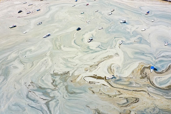 Artık Suyun Rengi Görünmüyor: Marmara Denizi'nden Ürkütücü Manzaralar...