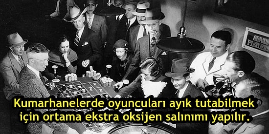 Kumar ve Kumarhanelerle İlgili Birbirinden İlginç 19 Karanlık Gerçek
