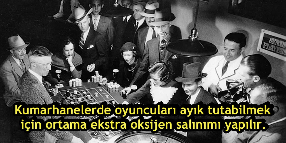 Kumar ve Kumarhanelerle İlgili Birbirinden İlginç 19 Karanlık Gerçek