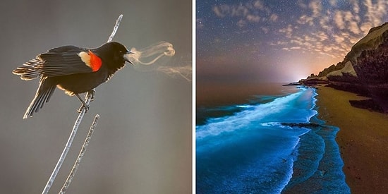 15 редких фотографий, раскрывающих невидимую/другую сторону вещей