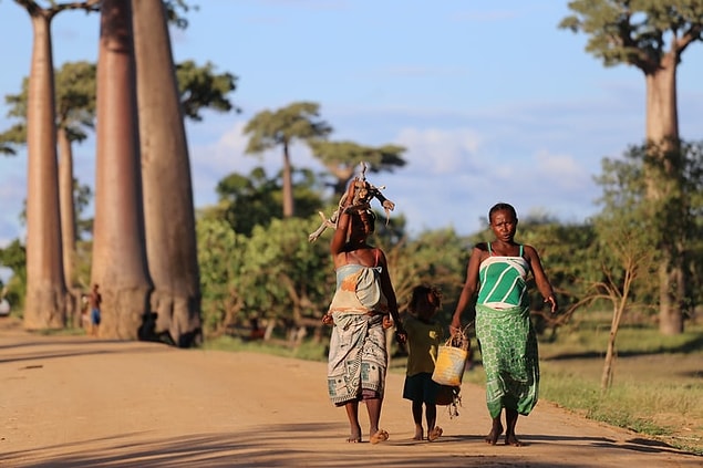 22. Madagaskarlılar aslen Afrika'dan göç etmediler.