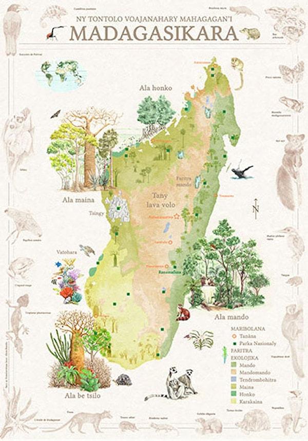 24. Madagaskar'da 7 adet ekolojik bölge vardır.