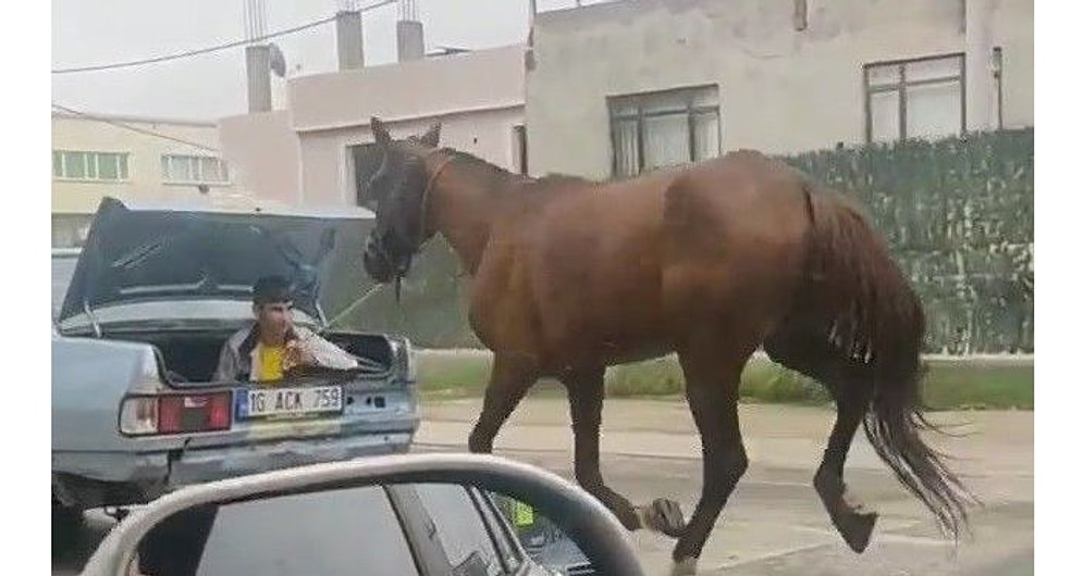 Tepki Çeken Görüntüler: Atı Aracın Arkasından Kilometrelerce Koşturdular