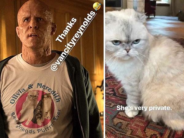 19. Deadpool 2'de (2018), Wade "Olivia & Meredith: Best Friends Purrrr-Ever" yazan bir gömlek giyiyor.