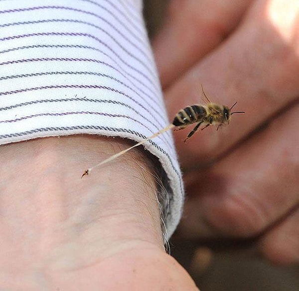 14. "Fotoğrafçılıkta zamanlama her şeydir..."