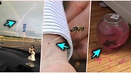 Akılalmaz Tesadüflerle 'Yok Artık' Dedirten ve Bakması Oldukça Eğlenceli Olan 23 Fotoğraf