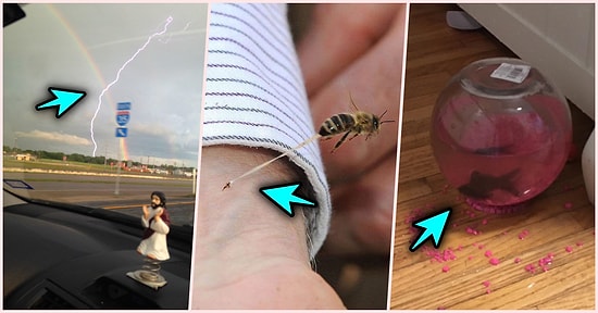 Akılalmaz Tesadüflerle 'Yok Artık' Dedirten ve Bakması Oldukça Eğlenceli Olan 23 Fotoğraf