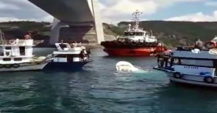 İstanbul Boğazı'nda Gemi ile Teknenin Çarpışması Sonucu 2 Kişi Hayatını Kaybetti