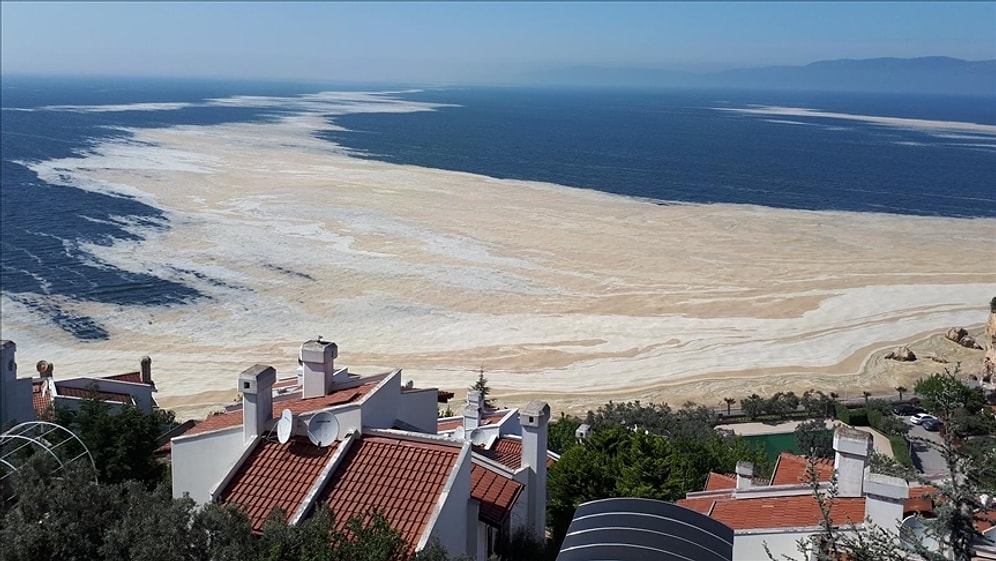 Müsilaj, 2 Yıl Önceki TÜBİTAK Raporunda 'Geliyorum' Demiş