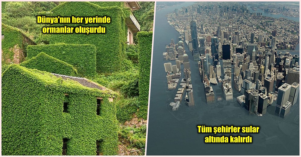 Herkesi Düşündüren O Soruyu Yanıtlıyoruz: İnsanlar Bin Yıl Uyuduktan Sonra Bir Anda Uyansalardı Neler Olurdu?