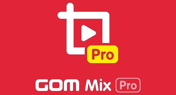 1. GOM Mix Pro