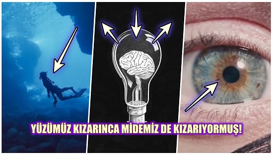 İnsan Vücudu ile İlgili Daha Önce Muhtemelen Hiçbir Yerde Duymadığınız 27 Şaşırtıcı Gerçek