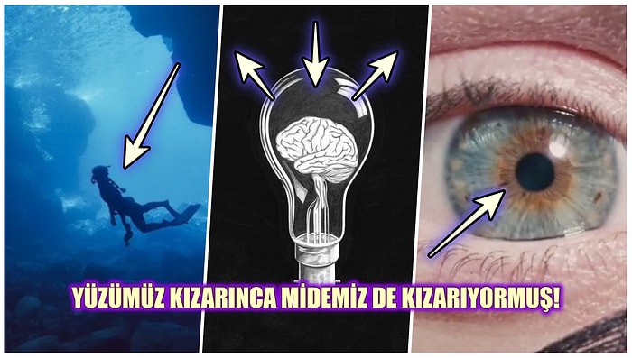 İnsan Vücudu ile İlgili Daha Önce Muhtemelen Hiçbir Yerde Duymadığınız 27 Şaşırtıcı Gerçek