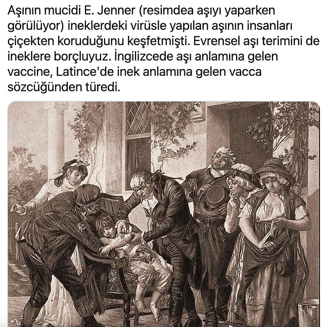 👇