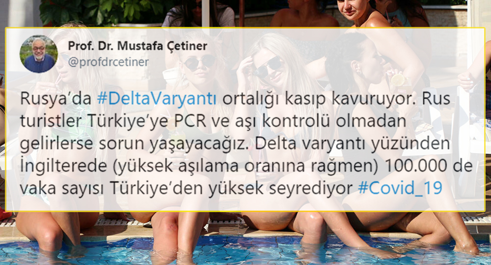 s-d8b91543b029ff79255dbe0ca61ebd1dc95cba41.jpg