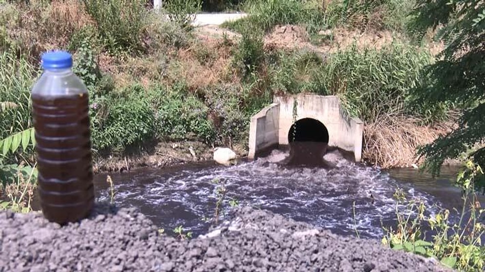 Müsilaj Hayatımızda Kalacak Gibi: Nilüfer Çayı Atıklar Nedeniyle Siyaha Büründü