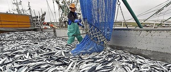 4. Biyoçeşitliliğin azalması yaşamımızı destekleyen balıkçılık, kerestecilik gibi ekosistem hizmetlerinin bozulmasını kökten etkilemektedir.