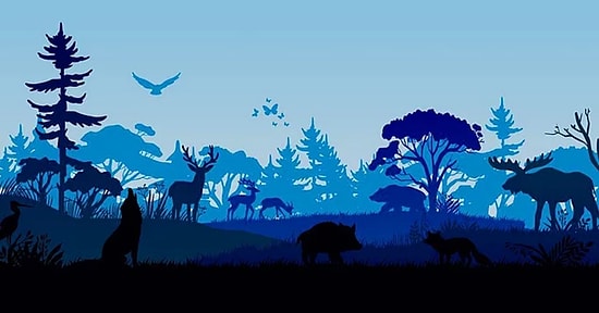 Çocuklarımıza Söz Verdik! Biyoçeşitlilik Hakkında Her İnsanın Mutlaka Bilmesi Gereken 12 Bilgi