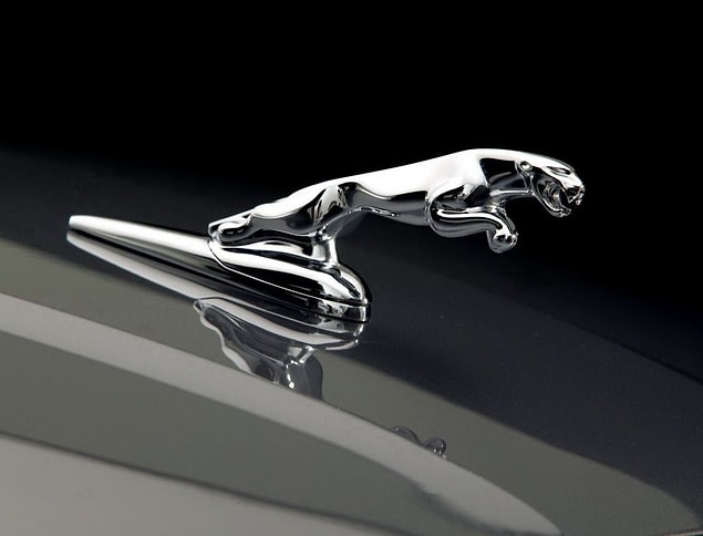 24. Jaguar