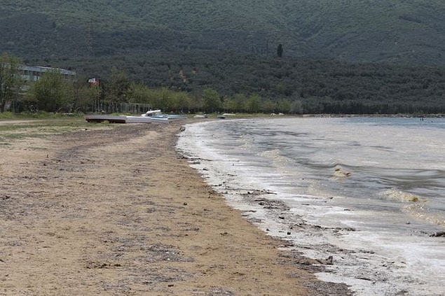 Rüzgar Gelibolu Yarımadası'na taşıdı