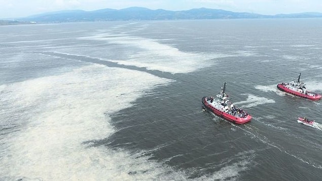 Bakan Kurum'un müsilaj temizleme açıklaması