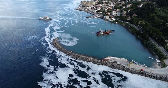 Kabus Büyüyor! Ege ve Karadeniz'deki Tatil Yerleri de Müsilaj Tehdidi Altında