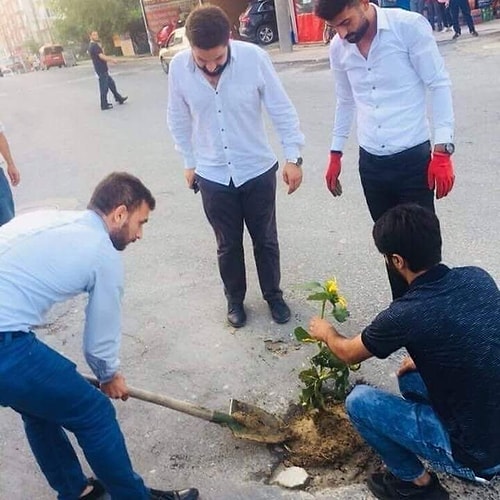 Çukurları protesto etmek için ayçiçeği dikmek mi?
