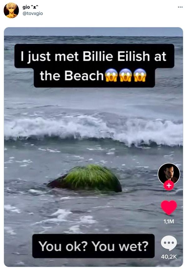 15. "Az önce plajda Billie Eilish'i gördüm. İyi misin? Islandın mı?"