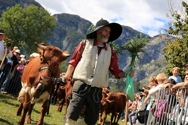 28. Slovenya (Kravji Bal)