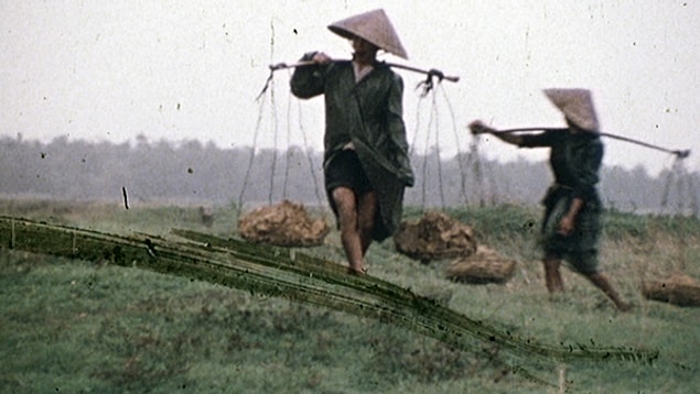 19. Hearts and Minds (1974)